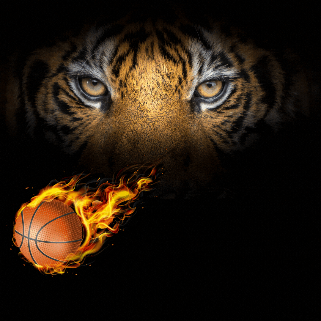 WellingtonNapoleon RIX Middle School Basketball